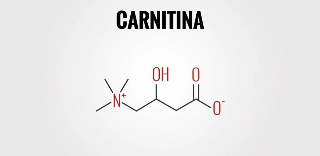 carnitina-per-dimagrire-1-1024x663-1