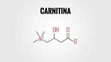 carnitina-per-dimagrire-1-1024x663-1