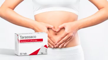 SLIDE-TARASSACO-un-rimedio-naturale-alle-patologie-metaboliche
