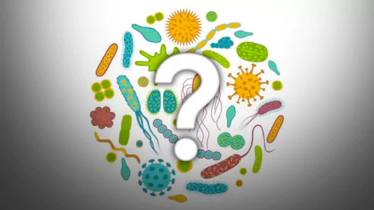 ARTICOLOBLOG_Microbiota cos'è e perché è importante